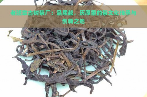 老班章古树茶厂：品质越，历厚重的茶文化传承与创新之地