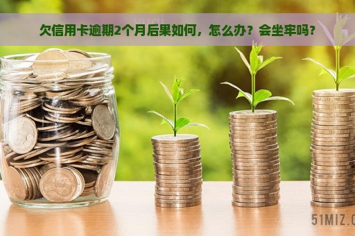 欠信用卡逾期2个月后果如何，怎么办？会坐牢吗？