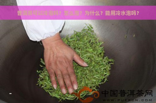 普洱茶可以冷泡吗？怎么泡？为什么？能用冷水泡吗？