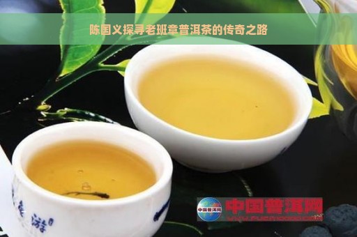 陈国义探寻老班章普洱茶的传奇之路