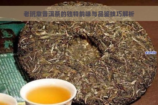 老班章普洱茶的独特韵味与品鉴技巧解析