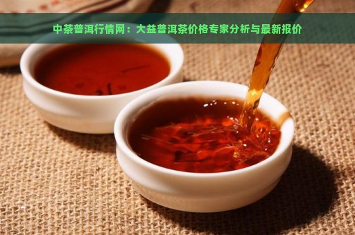 中茶普洱行情网：大益普洱茶价格专家分析与最新报价