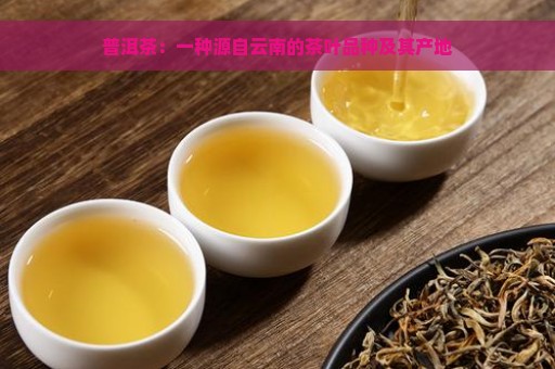 普洱茶：一种源自云南的茶叶品种及其产地