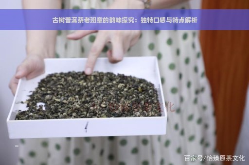 古树普洱茶老班章的韵味探究：独特口感与特点解析