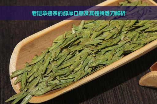 老班章熟茶的醇厚口感及其独特魅力解析