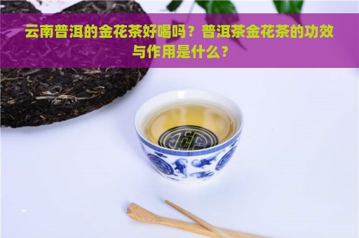 云南普洱的金花茶好喝吗？普洱茶金花茶的功效与作用是什么？