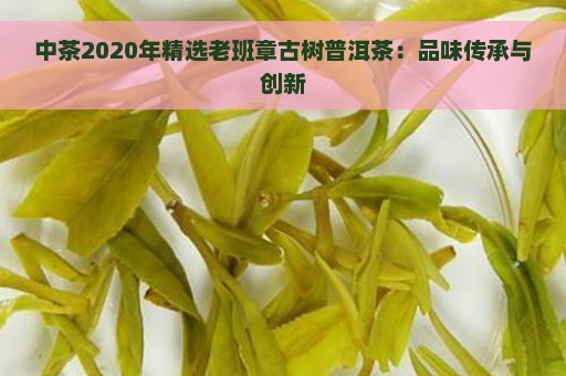 中茶2020年精选老班章古树普洱茶：品味传承与创新