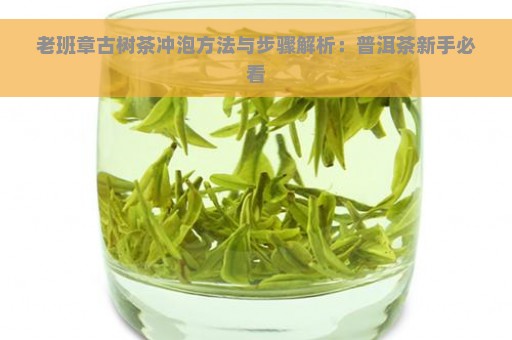 老班章古树茶冲泡方法与步骤解析：普洱茶新手必看