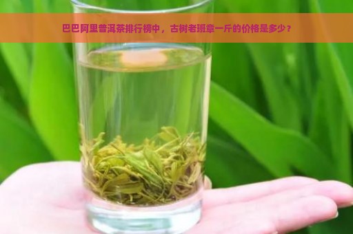 巴巴阿里普洱茶排行榜中，古树老班章一斤的价格是多少？