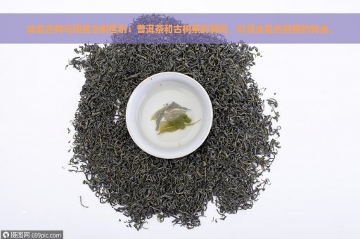 冰岛古树与班章古树区别：普洱茶和古树茶的异同，以及冰岛古树茶的特点。