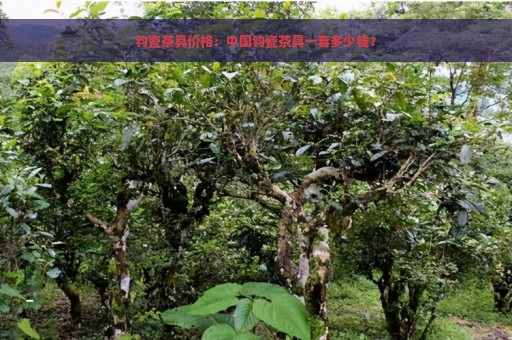 钧瓷茶具价格：中国钧瓷茶具一套多少钱？