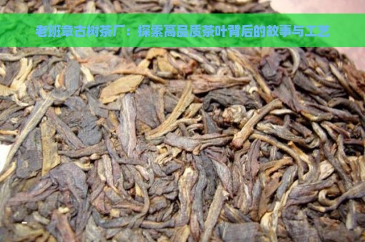 老班章古树茶厂：探索高品质茶叶背后的故事与工艺