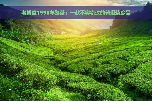 老班章1998年熟茶：一款不容错过的普洱茶珍品