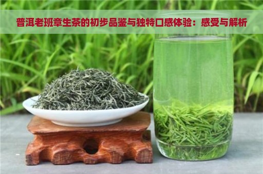 普洱老班章生茶的初步品鉴与独特口感体验：感受与解析