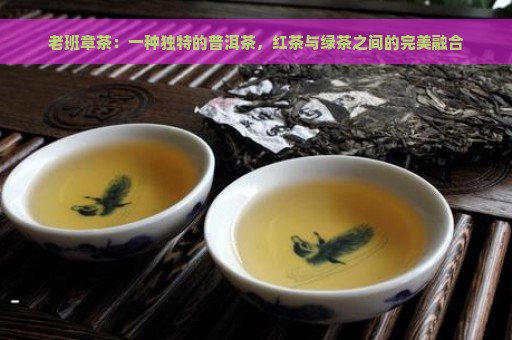 老班章茶：一种独特的普洱茶，红茶与绿茶之间的完美融合