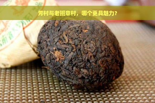 芳村与老班章村，哪个更具魅力？