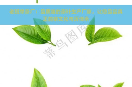 老班章茶厂：品质越的茶叶生产厂家，让您品尝真正的茶文化与历传承