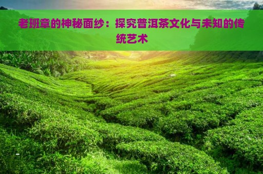 老班章的神秘面纱：探究普洱茶文化与未知的传统艺术