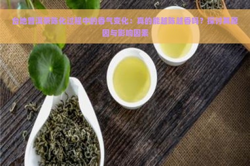 台地普洱茶陈化过程中的香气变化：真的能越陈越香吗？探讨其原因与影响因素