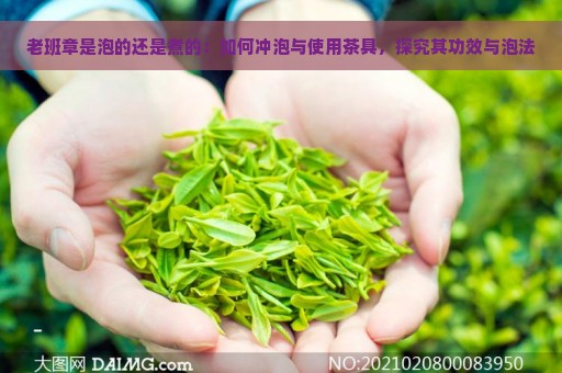 老班章是泡的还是煮的：如何冲泡与使用茶具，探究其功效与泡法