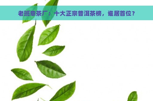 老班章茶厂：十大正宗普洱茶榜，谁居首位？