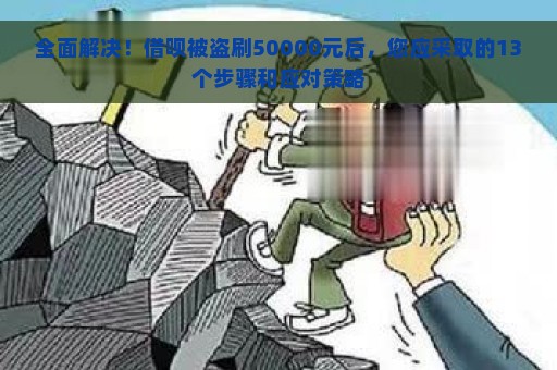 全面解决！借呗被盗刷50000元后，您应采取的13个步骤和应对策略