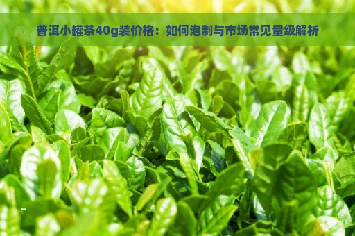 普洱小罐茶40g装价格：如何泡制与市场常见量级解析