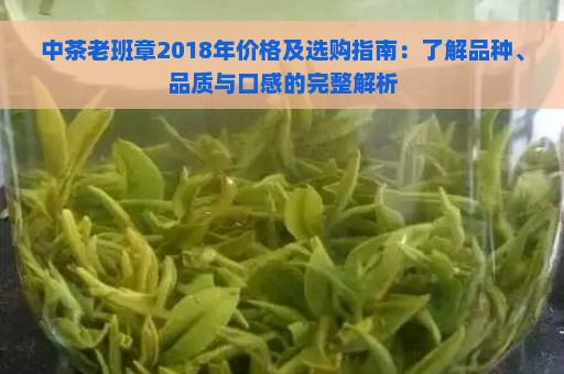 中茶老班章2018年价格及选购指南：了解品种、品质与口感的完整解析