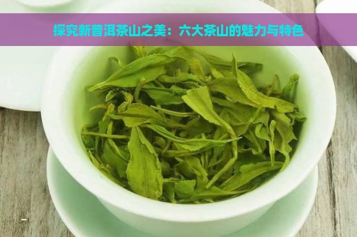 探究新普洱茶山之美：六大茶山的魅力与特色