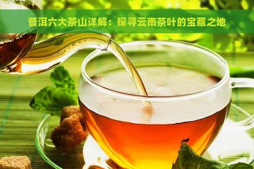 普洱六大茶山详解：探寻云南茶叶的宝藏之地