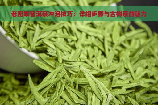 老班章普洱茶冲泡技巧：详细步骤与古树茶的魅力