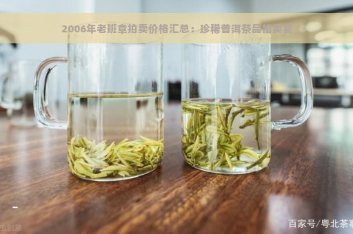 2006年老班章拍卖价格汇总：珍稀普洱茶品拍卖宴