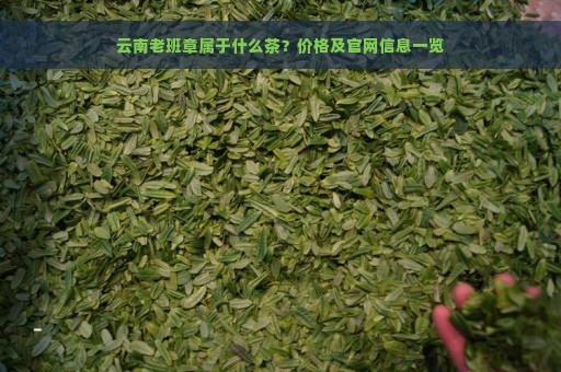 云南老班章属于什么茶？价格及官网信息一览