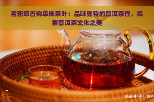 老班章古树单株茶叶：品味独特的普洱茶香，探索普洱茶文化之美