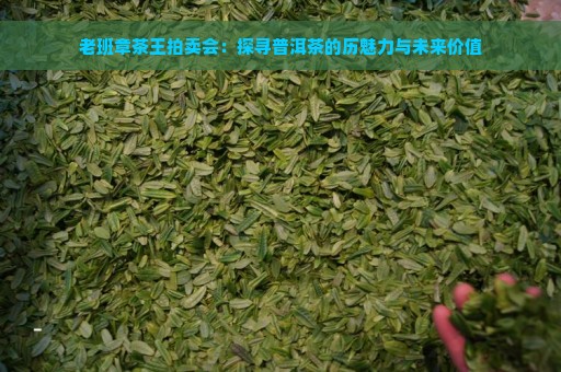 老班章茶王拍卖会：探寻普洱茶的历魅力与未来价值