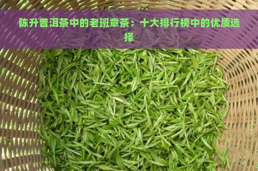 陈升普洱茶中的老班章茶：十大排行榜中的优质选择