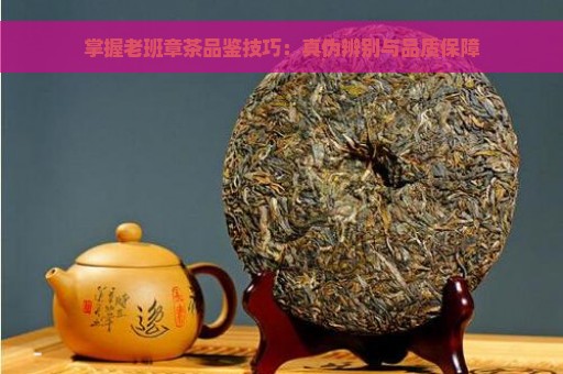 掌握老班章茶品鉴技巧：真伪辨别与品质保障