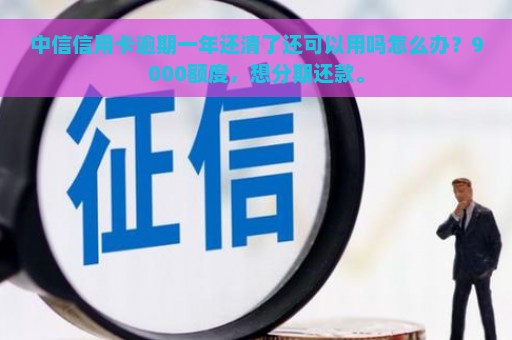 中信信用卡逾期一年还清了还可以用吗怎么办？9000额度，想分期还款。