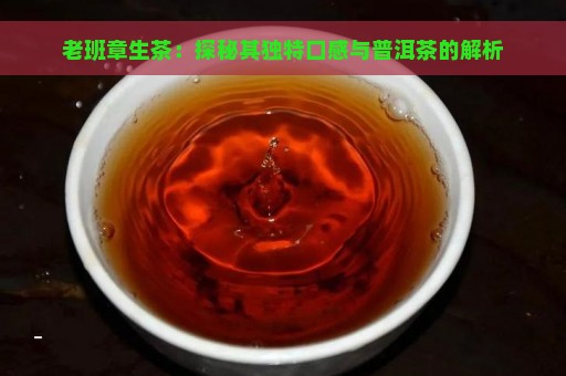 老班章生茶：探秘其独特口感与普洱茶的解析