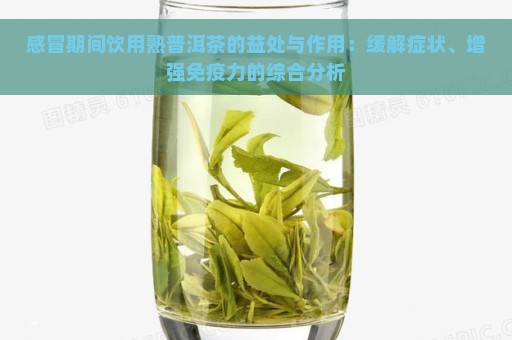 感冒期间饮用熟普洱茶的益处与作用：缓解症状、增强免疫力的综合分析