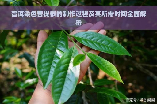 普洱染色菩提根的制作过程及其所需时间全面解析