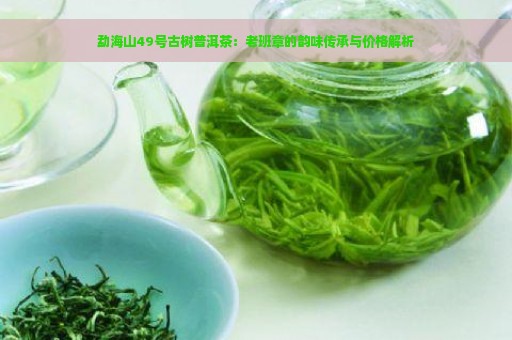 勐海山49号古树普洱茶：老班章的韵味传承与价格解析