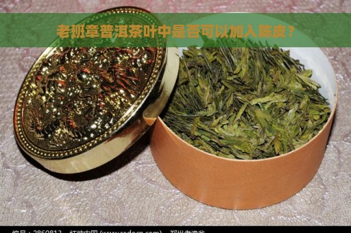 老班章普洱茶叶中是否可以加入陈皮？