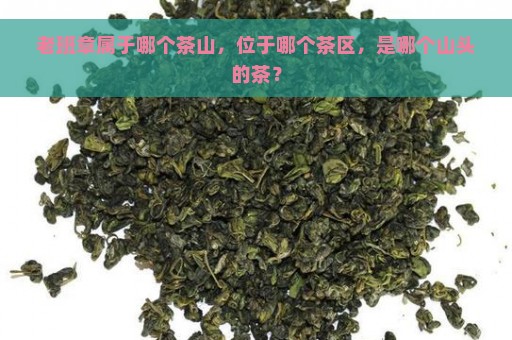 老班章属于哪个茶山，位于哪个茶区，是哪个山头的茶？