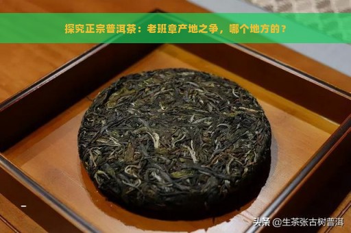 探究正宗普洱茶：老班章产地之争，哪个地方的？