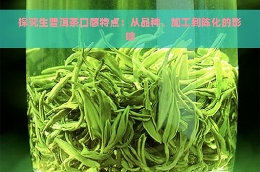 探究生普洱茶口感特点：从品种、加工到陈化的影响