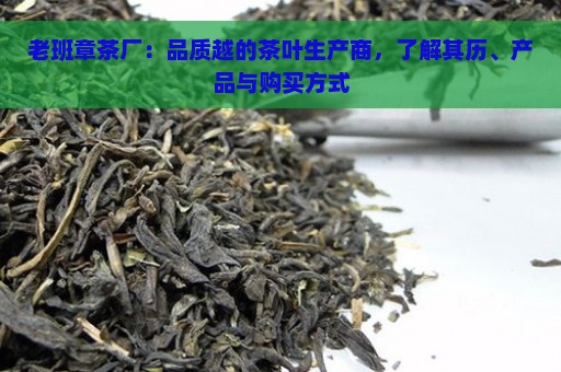 老班章茶厂：品质越的茶叶生产商，了解其历、产品与购买方式