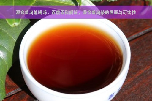 湿仓普洱能喝吗：百度百科解答，湿仓普洱茶的危害与可饮性