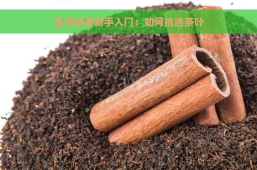 普洱熟茶新手入门：如何挑选茶叶