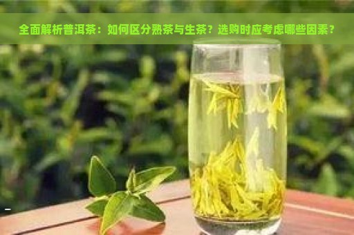 全面解析普洱茶：如何区分熟茶与生茶？选购时应考虑哪些因素？